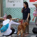 マルイシティ池袋店前で募金　日本補助犬協会　補助犬育成募金　元気UPプロジェクト　第３回池コン
